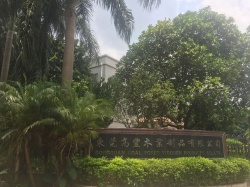 祝賀東莞高豐木業制品有限公司 順利通過THD家得寶三項審核驗廠